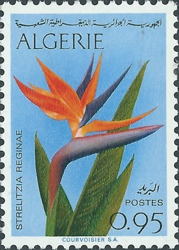 Stamp