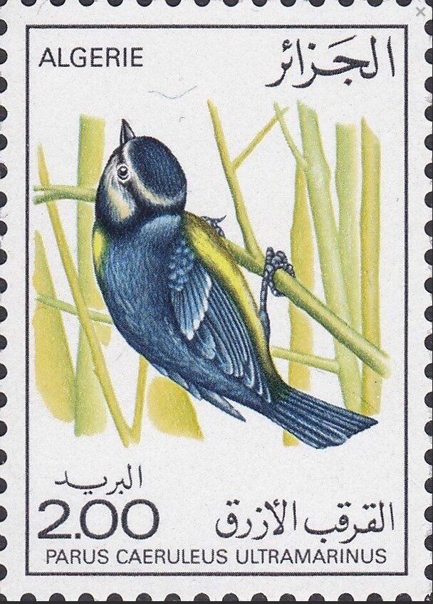 Stamp