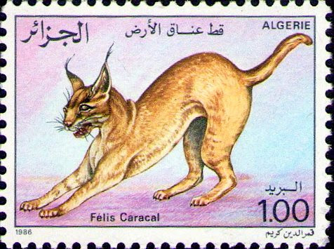 Stamp