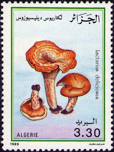 Stamp