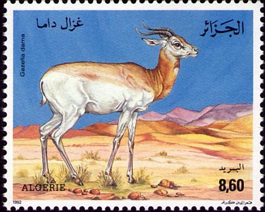 Stamp