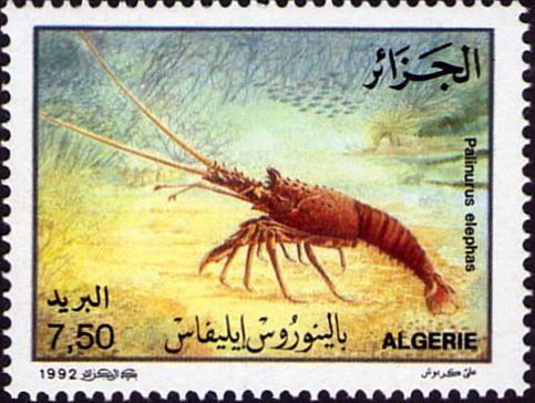 Stamp