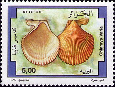 Stamp