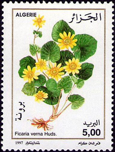 Stamp