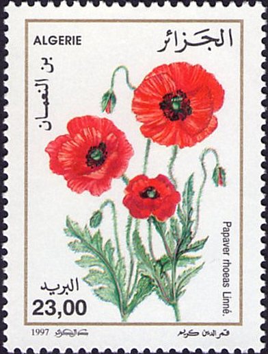 Stamp