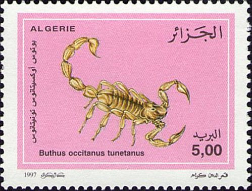 Stamp