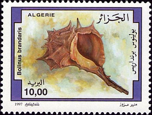 Stamp