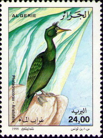 Stamp