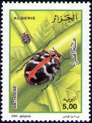 Stamp
