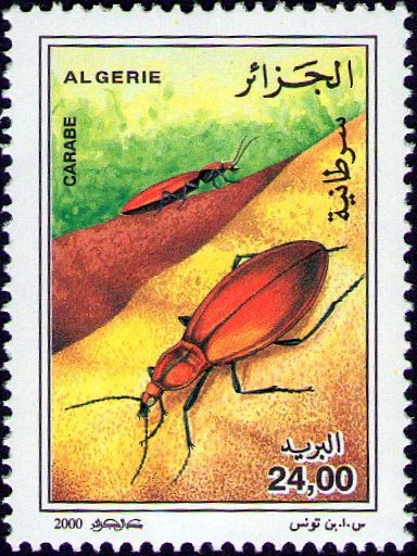 Stamp