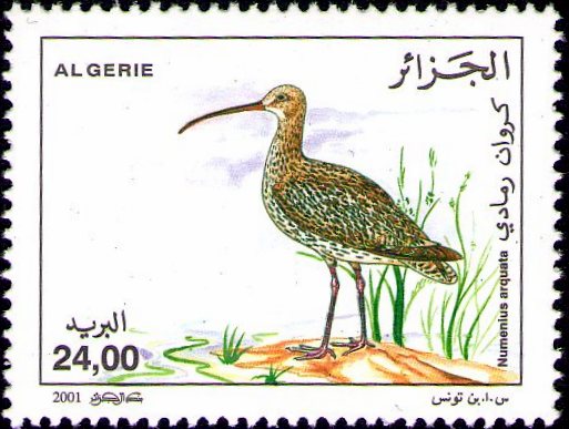 Stamp