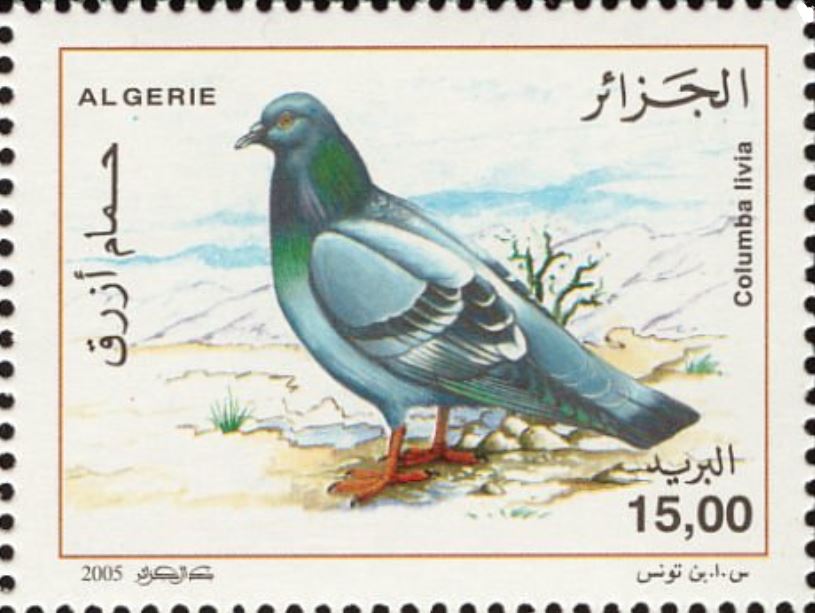 Stamp