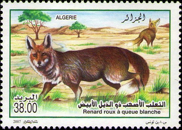 Stamp