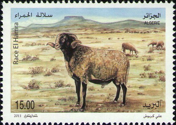 Stamp