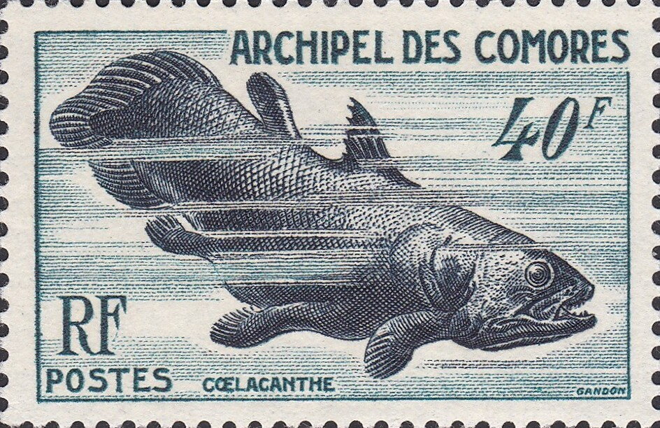 Stamp