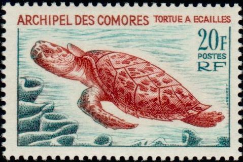 Stamp