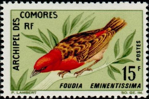 Stamp