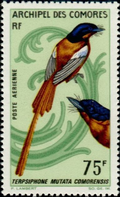 Stamp