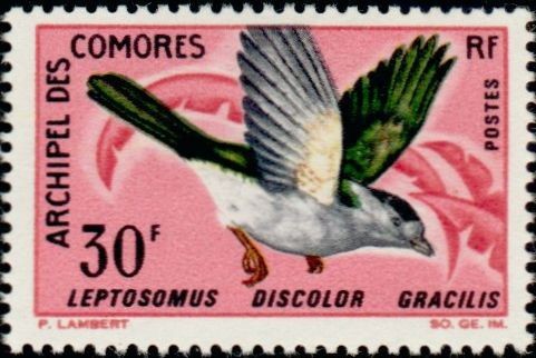 Stamp