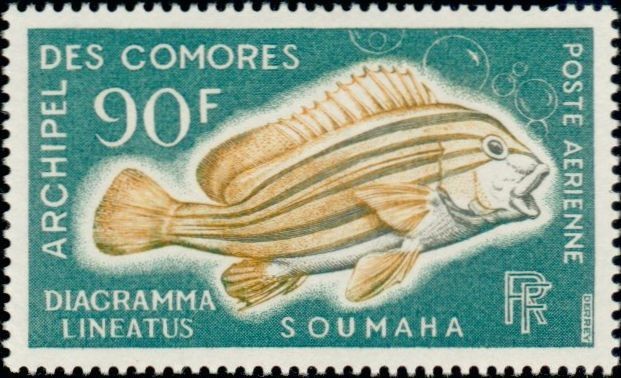 Stamp