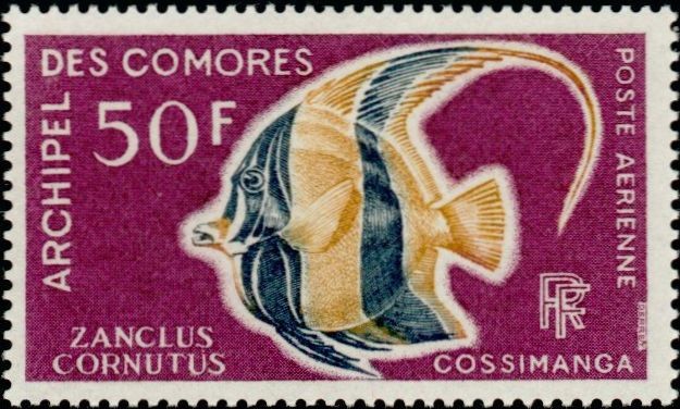 Stamp