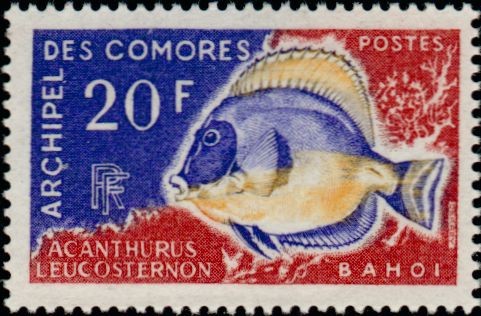 Stamp