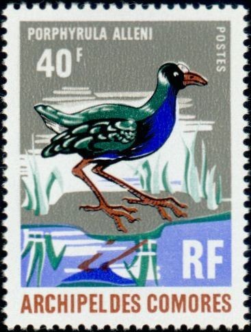 Stamp