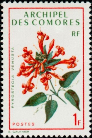 Stamp