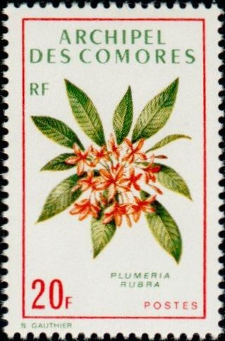 Stamp