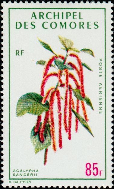 Stamp