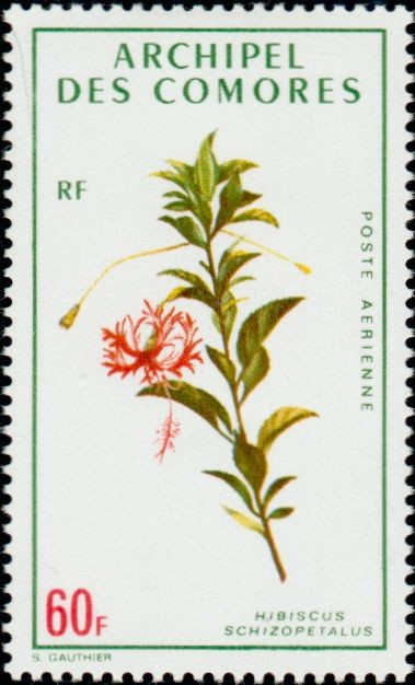 Stamp