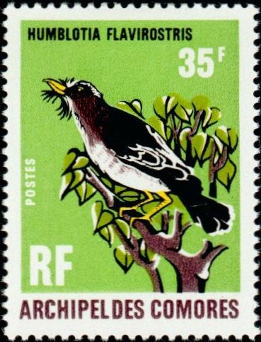 Stamp