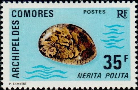 Stamp