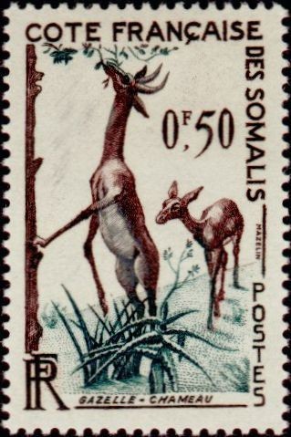Stamp