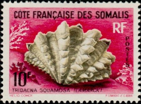 Stamp