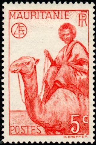 Stamp