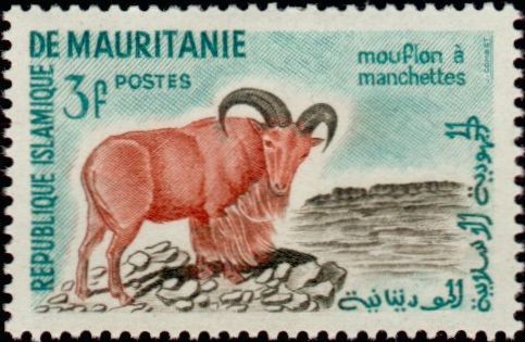 Stamp