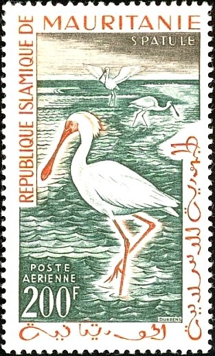 Stamp