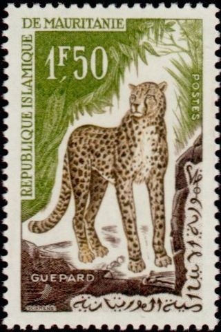 Stamp