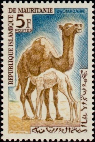 Stamp