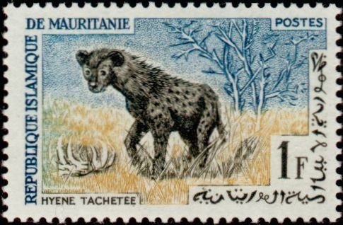 Stamp