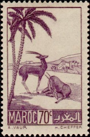 Stamp