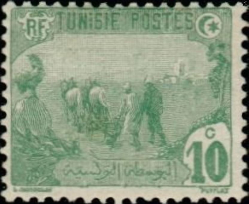 Stamp
