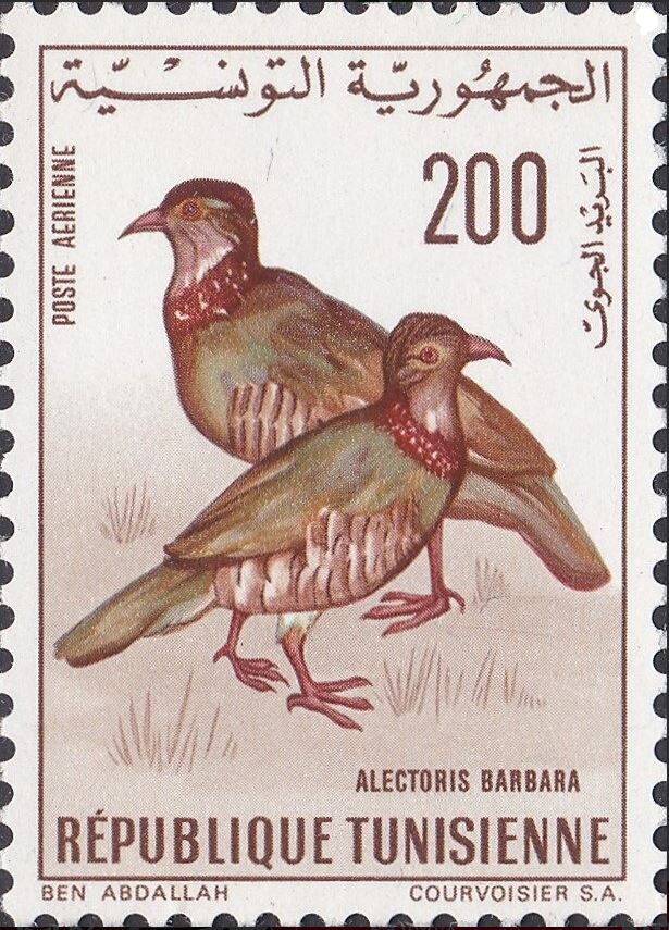 Stamp
