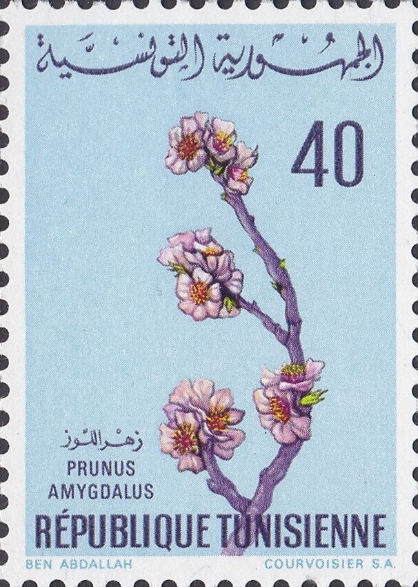 Stamp