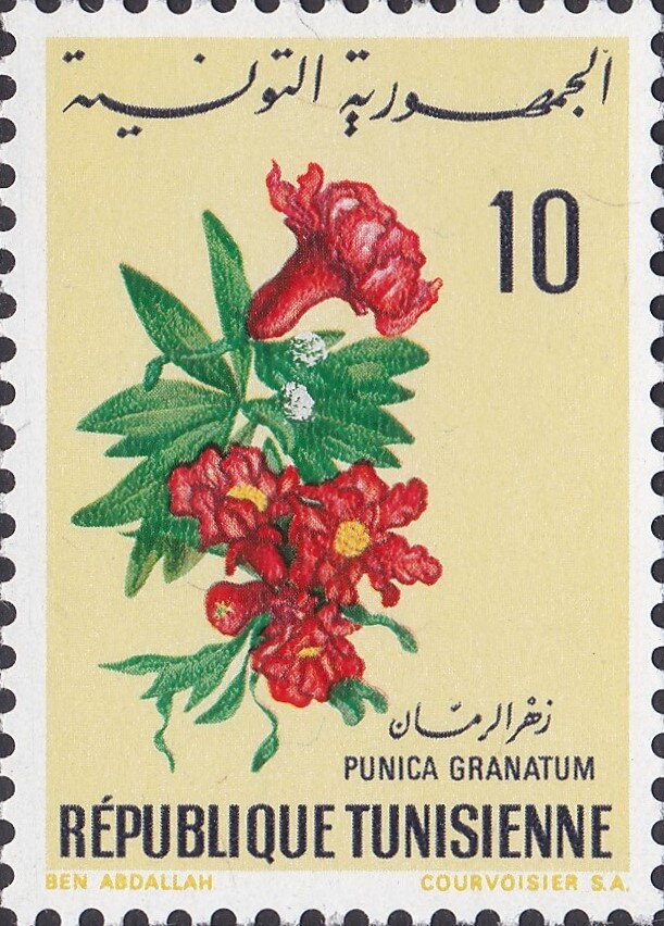 Stamp