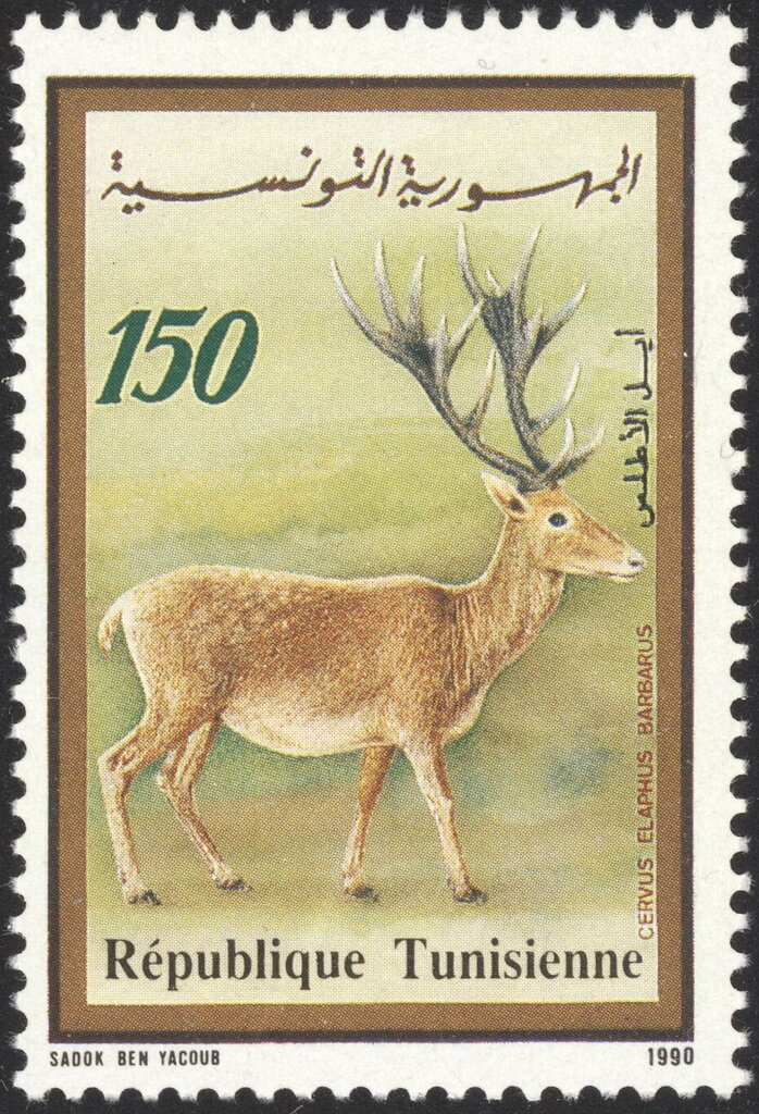 Stamp