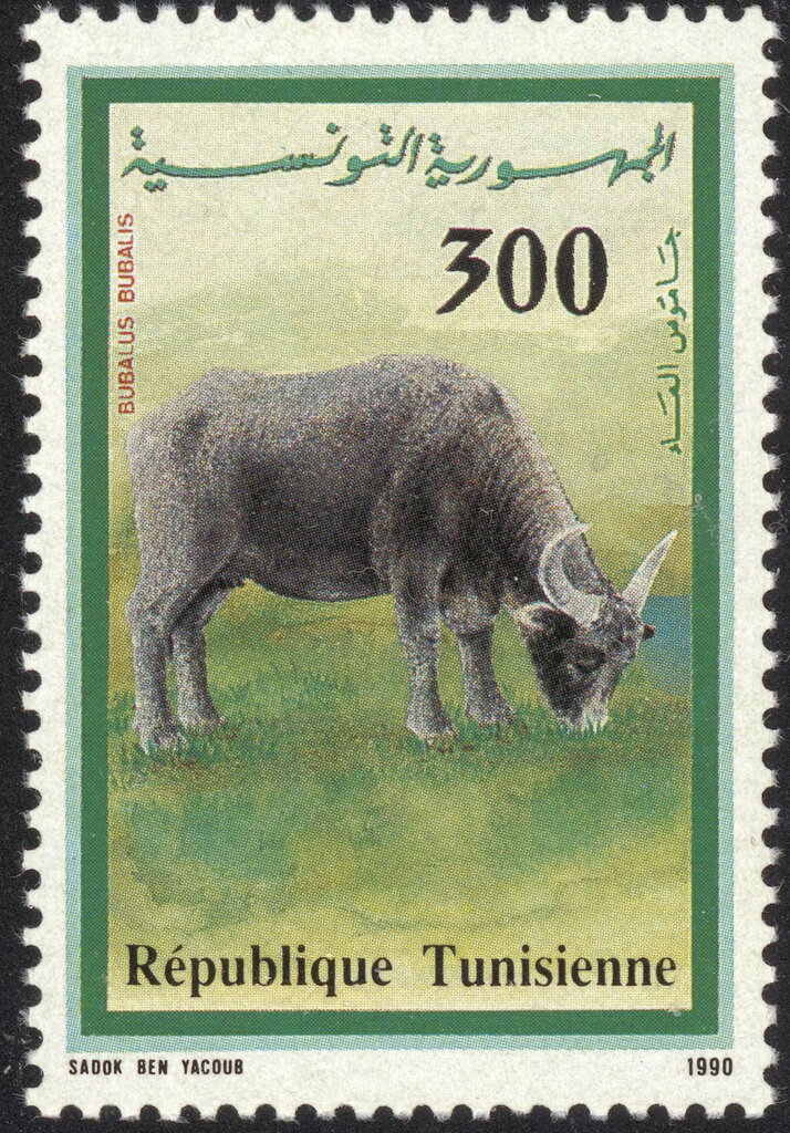 Stamp