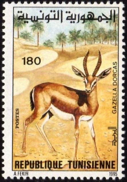 Stamp