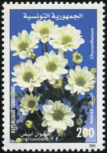 Stamp